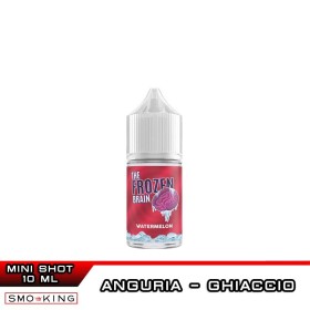 WATERMELON Frozen Brain Aroma Mini 10 ml SvapoNext