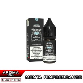 FRESH MINT No.24 Aroma 10 ml Dreamods