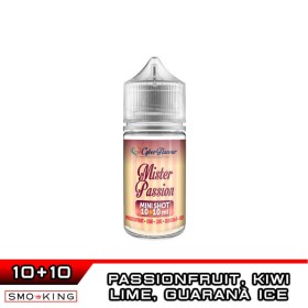 MR PASSION FRESHFRUITY Mini Shot 10+10 Cyber Flavour