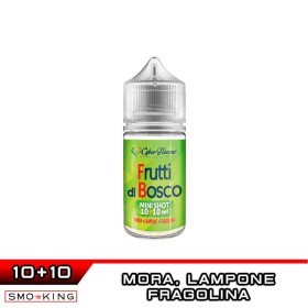 FRUTTI DI BOSCO Mini Shot 10+10 Cyber Flavour
