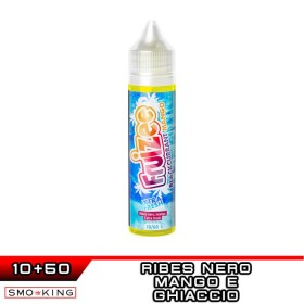 BLACKCURRANT MANGO Aroma Shot 10 ml in 60 ml FRUIZEE