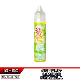 NO FRESH SUN BAY Aroma Shot 10 ml in 60 ml FRUIZEE