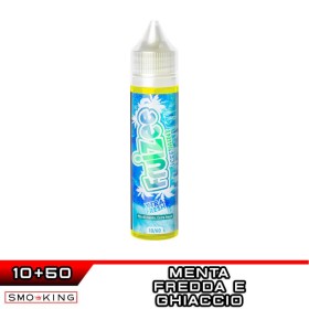 ICEE MINT Aroma Shot 10 ml in 60 ml FRUIZEE