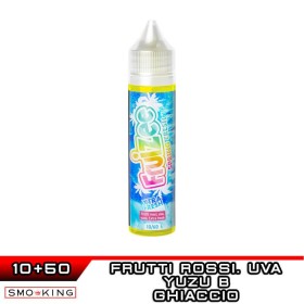 SPRING FRESH Aroma Shot 10 ml in 60 ml FRUIZEE