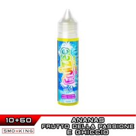WIND STAR Aroma Shot 10 ml in 60 ml FRUIZEE