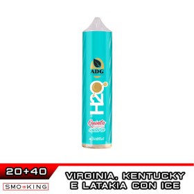 H2O QUINTA ESSENZA NATURAL ICE Aroma Shot 20 ml Angolo della Guancia