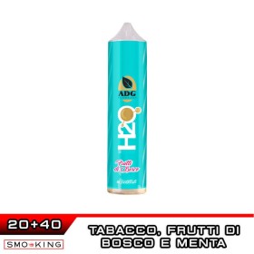 H2O FRUTTI DI BOSCO Aroma Shot 20 ml Angolo della Guancia