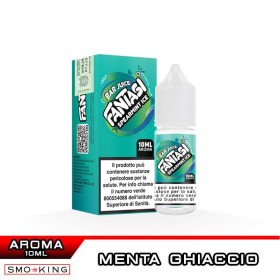 SPEARMINT ICE Bar Juice Aroma Concentrato 10 ml Fantasi Vape