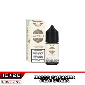 GABRIEL Premium Mini Shot 10+20 ml HOLY VAPE Succo Arancia Fico d'India