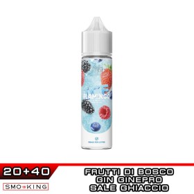 FLAMINGO ICE Pod Authentic Aroma 20 ml Ghost Bus Club