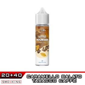 LITTLE MOUNTAIN Pod Authentic Aroma 20 ml Ghost Bus Club