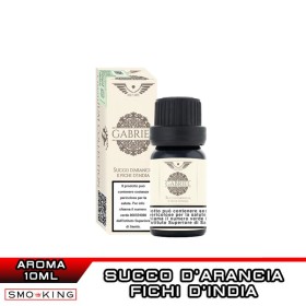 GABRIEL Premium Aroma Concentrato 10ml HOLY VAPE Succo Arancia Fico d'India