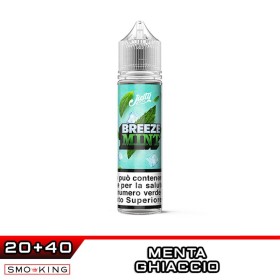 BREEZE MINT Aroma Shot 20 ml JUSTY FLAVOR Menta Ice