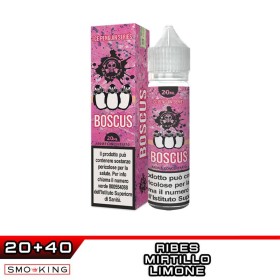 BOSCUS I Pinguini Aroma Shot 20 ml GALACTIKA Ribes Mirtillo Limone