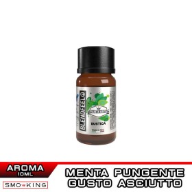 RUSTICA Pianeta Menta Aroma Concentrato 10 ml BLENDFEEL Menta Rustica