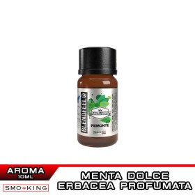 PIEMONTE Pianeta Menta Aroma Concentrato 10 ml BLENDFEEL