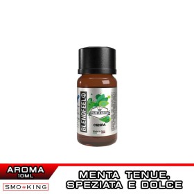 CRISPA Pianeta Menta Aroma Concentrato 10 ml BLENDFEEL