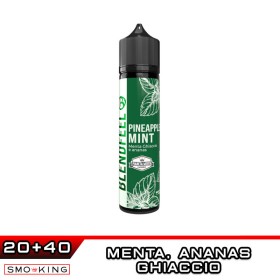 PINEAPPLE MINT Pianeta Menta Flavoured Aroma Shot 20 ml BLENDFEEL Menta Ananas Ice