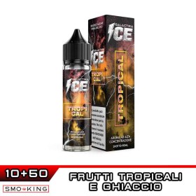 TROPICAL ICE Aroma Shot 10 ml in 60 ml GALACTIKA Frutti Tropicali Ghiaccio