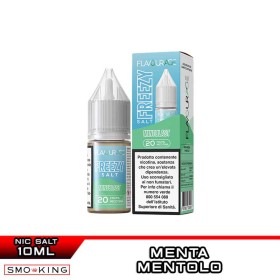 Freezy Nic Salt MINTBLAST Liquido Pronto Sali di Nicotina 10ml FLAVOURAGE Menta Ice 2%