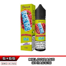 Ice Me MELOGRANO ICE Shot 5ml in 60ml DREAMODS Melograno Ghiaccio