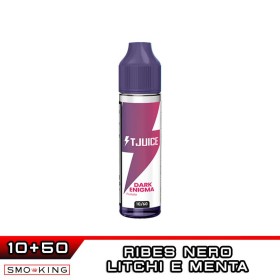 DARK ENIGMA Shot 10ml in 60ml T-JUICE Ribes Nero Litchi Menta