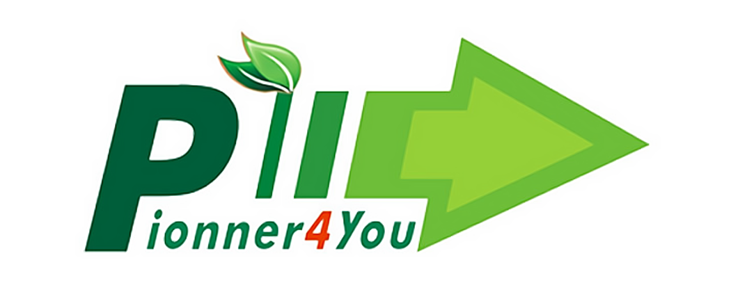 batterie e big battery pioneer4you