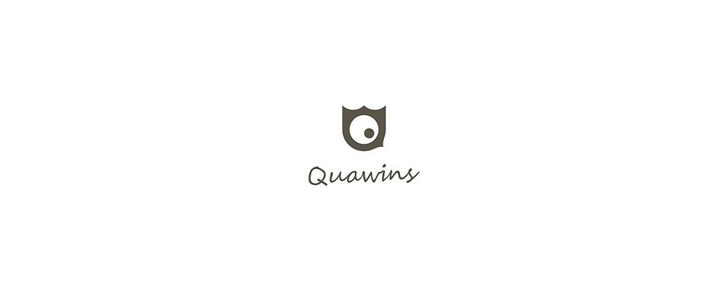 Quawins Sigaretta Elettronica
