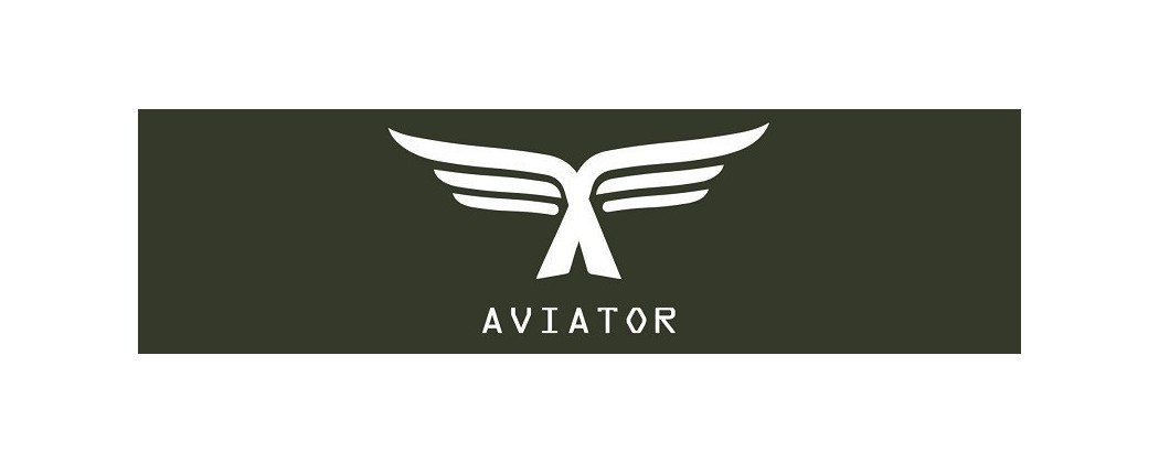 AVIATOR MODS acquista BOX MOD SIGARETTA ELETTRONICA al miglior prezzo online da Smo-KingShop.it