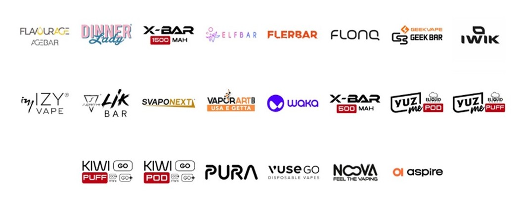 SIGARETTA ELETTRONICA USA E GETTA 2025 | Smo-Kingshop.it