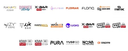 SIGARETTA ELETTRONICA USA E GETTA 2025 | Smo-Kingshop.it