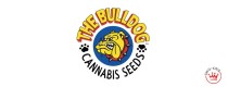 THE BULLDOG
